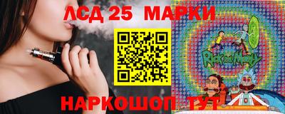 a pvp Кингисепп
