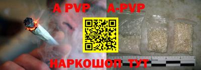 a pvp Кингисепп
