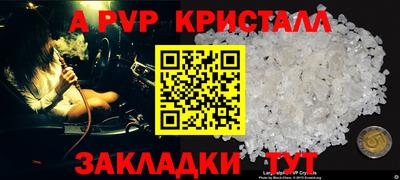 прущие грибы Камышлов