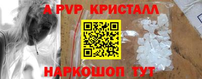 a pvp Кингисепп